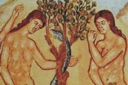 L'aspirazione all'unità (Giovanni Vannucci)