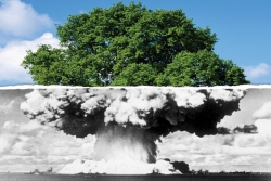 Nucleare. Papa: l'energia rispetti l'uomo e il creato