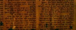 Teologia dell'Antico Testamento. Cap. 6. Le istituzioni politiche e sociali