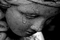 Ammonire e consolare (Cettina Militello)